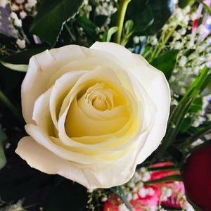 Meet your Posher, April